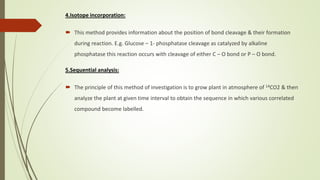 4.Isotope incorporation:
 This method provides information about the position of bond cleavage & their formation
during reaction. E.g. Glucose – 1- phosphatase cleavage as catalyzed by alkaline
phosphatase this reaction occurs with cleavage of either C – O bond or P – O bond.
5.Sequential analysis:
 The principle of this method of investigation is to grow plant in atmosphere of 14CO2 & then
analyze the plant at given time interval to obtain the sequence in which various correlated
compound become labelled.
 