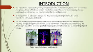 INTRODUCTION
 The biosynthetic processes for primary metabolites involve photosynthesis, Calvin cycle and pentose
phosphate pathway while the secondary metabolites are synthesised by Shikimic acid pathway,
acetate pathways(malonate and mevalonate) and amino acid pathways.
 By incorporation of radioactive isotope into the precursors / starting material, the whole
biosynthetic pathway can be traced .
 The use of radiotracers involves the substitution of a radioactive isotope for one of the naturally
occurring isotopes of a particular element. use of radiotracers particularly useful for studying the
dynamic processes that comprise specific biological pathways to facilitate our understanding of plant
biology.
Radio tracer techniques used in plants
 