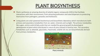 PLANT BIOSYNTHESIS
 Plants synthesize an amazing diversity of volatile organic compounds (VOCs) that facilitate
interactions with their environment, from attracting pollinators and seed dispersers to protecting
themselves from pathogens, parasites and herbivores.
 Living plants are solar-powered biochemical and biosynthetic laboratory which manufactures both
primary and secondary metabolites from air, water, minerals and sunlight. The primary metabolites
like sugars, amino acids & fatty acids that are needed for general growth & physiological
development of plant which distributed in nature & also utilized as food by man. The secondary
metabolites such as alkaloids, glycosides, Flavonoids, volatile oils etc are biosynthetically derived
from primary metabolites.
Plant minerals
 