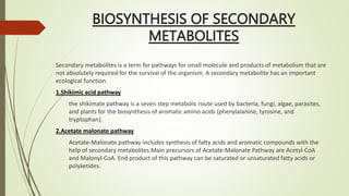 BIOSYNTHESIS OF SECONDARY
METABOLITES
Secondary metabolites is a term for pathways for small molecule and products of metabolism that are
not absolutely required for the survival of the organism. A secondary metabolite has an important
ecological function.
1.Shikimic acid pathway
the shikimate pathway is a seven step metabolic route used by bacteria, fungi, algae, parasites,
and plants for the biosynthesis of aromatic amino acids (phenylalanine, tyrosine, and
tryptophan).
2.Acetate malonate pathway
Acetate-Malonate pathway includes synthesis of fatty acids and aromatic compounds with the
help of secondary metabolites.Main precursors of Acetate-Malonate Pathway are Acetyl-CoA
and Malonyl-CoA. End product of this pathway can be saturated or unsaturated fatty acids or
polyketides.
 