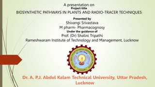 A presentation on
Project title
BIOSYNTHETIC PATHWAYS IN PLANTS AND RADIO-TRACER TECHNIQUES
Presented by
Shivangi Srivastava
M pharm- Pharmacognosy
Under the guidance of
Prof. (Dr) Shalini Tripathi
Rameshwaram Institute of Technology and Management, Lucknow
Dr. A. P.J. Abdul Kalam Technical University, Uttar Pradesh,
Lucknow
 