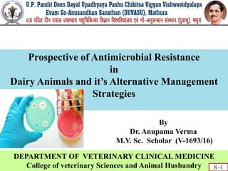 Prospective of Antimicrobial Resistance
in
Dairy Animals and it’s Alternative Management
Strategies
By
Dr. Anupama Verma
M.V. Sc. Scholar (V-1693/16)
DEPARTMENT OF VETERINARY CLINICAL MEDICINE
College of veterinary Sciences and Animal Husbandry S -1
 