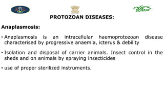 Protozoan Insecticide PPT.pptx