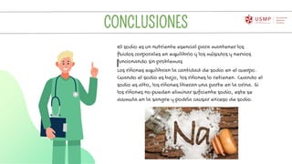 CONCLUSIONES
El sodio es un nutriente esencial para mantener los
fluidos corporales en equilibrio y los músculos y nervios
funcionando sin problemas
Los riñones equilibran la cantidad de sodio en el cuerpo.
Cuando el sodio es bajo, los riñones lo retienen. Cuando el
sodio es alto, los riñones liberan una parte en la orina. Si
los riñones no pueden eliminar suficiente sodio, este se
acumula en la sangre y podría causar exceso de sodio.
 