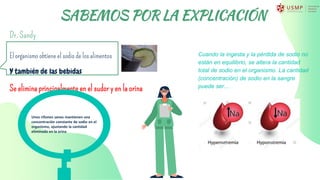 SABEMOS POR LA EXPLICACIÓN
El organismo obtiene el sodio de los alimentos
Y también de las bebidas
Se elimina principalmente en el sudor y en la orina
Dr. Sandy
Unos riñones sanos mantienen una
concentración constante de sodio en el
organismo, ajustando la cantidad
eliminada en la orina
Cuando la ingesta y la pérdida de sodio no
están en equilibrio, se altera la cantidad
total de sodio en el organismo. La cantidad
(concentración) de sodio en la sangre
puede ser…
 
