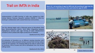 Climate Resilient Aquaculture Practices | PPTX