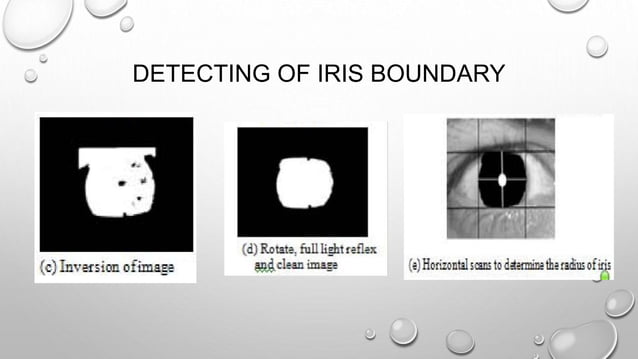 Effective Biometric system with using of iris detection.pptx