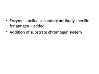 • Enzyme labelled secondary antibody specific
for antigen – added
• Addition of substrate chromogen system
 