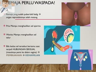 REMAJA PERLUWASPADA!
 Remaja yang sudah puber/akil balig 
organ reproduksinya telah matang
 Pria: Mampu menghasilkan sel sperma
 Wanita: Mampu menghasilkan sel
telur
 Bila kedua sel tersebut bertemu saat
terjadi HUBUNGAN SEKSUAL
(masuknya penis ke dalam vagina) 
PEMBUAHAN  KEHAMILAN
 