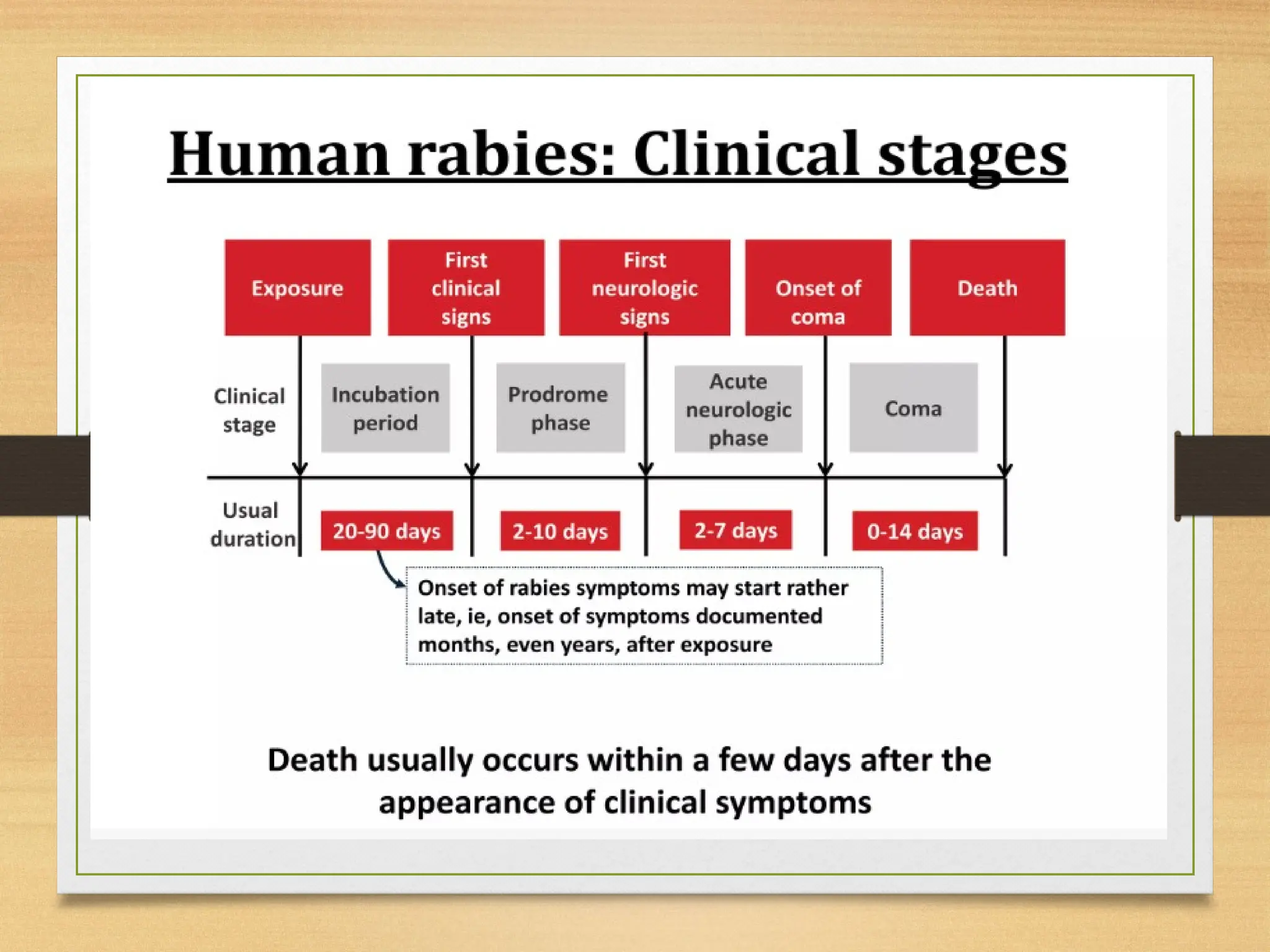 Rabies and its eradication in Bangladesh | PPTX