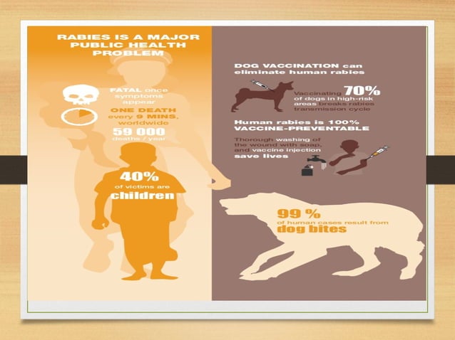 Rabies and its eradication in Bangladesh | PPTX