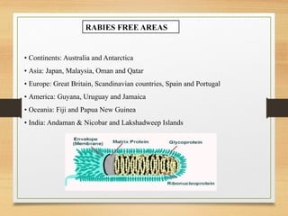 Rabies and its eradication in Bangladesh | PPTX