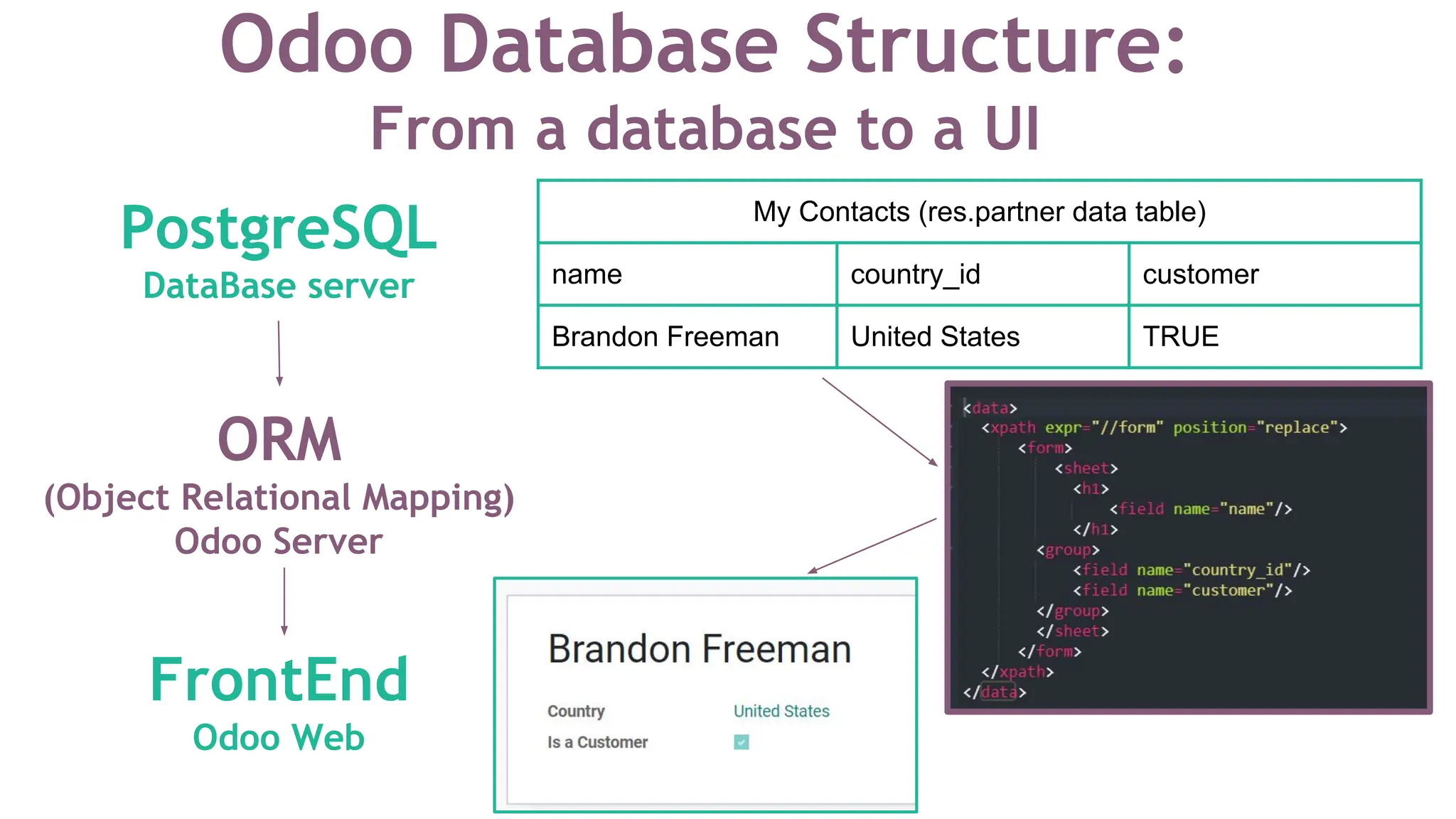 PostgreSQL
DataBase server
ORM
(Object Relational Mapping)
Odoo Server
FrontEnd
Odoo Web
My Contacts (res.partner data table)
name country_id customer
Brandon Freeman United States TRUE
Odoo Database Structure:
From a database to a UI
 