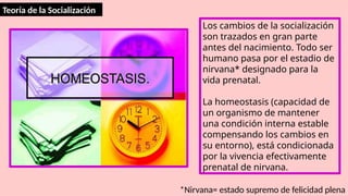Teoría de la Socialización
Los cambios de la socialización
son trazados en gran parte
antes del nacimiento. Todo ser
humano pasa por el estadio de
nirvana* designado para la
vida prenatal.
La homeostasis (capacidad de
un organismo de mantener
una condición interna estable
compensando los cambios en
su entorno), está condicionada
por la vivencia efectivamente
prenatal de nirvana.
*Nirvana= estado supremo de felicidad plena
 
