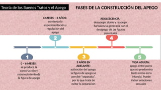 Teoría de los Buenos Tratos y el Apego FASES DE LA CONSTRUCCIÓN DEL APEGO
0 – 6 MESES:
se produce la
construcción y
reconocimiento de
la figura de apego
6 MESES – 3 AÑOS:
comienza la
experimentación y
regulación del
apego
3 AÑOS EN
ADELANTE:
activación del apego:
la figura de apego se
percibe “separada”,
por lo que trata de
evitar la separación
ADOLESCENCIA:
desapego, duelo y reapego.
Turbulencia generada por el
desapego de las figuras
parentales
VIDA ADULTA:
apego entre pares
que no predomina
tanto como en la
infancia, Puede
incluir relaciones
sexuales
1
2
3
4
5
 