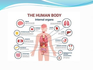 B pharm 1st sem Human Anatomy and Physiology unit 1.ppt