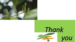 Thank
you
 