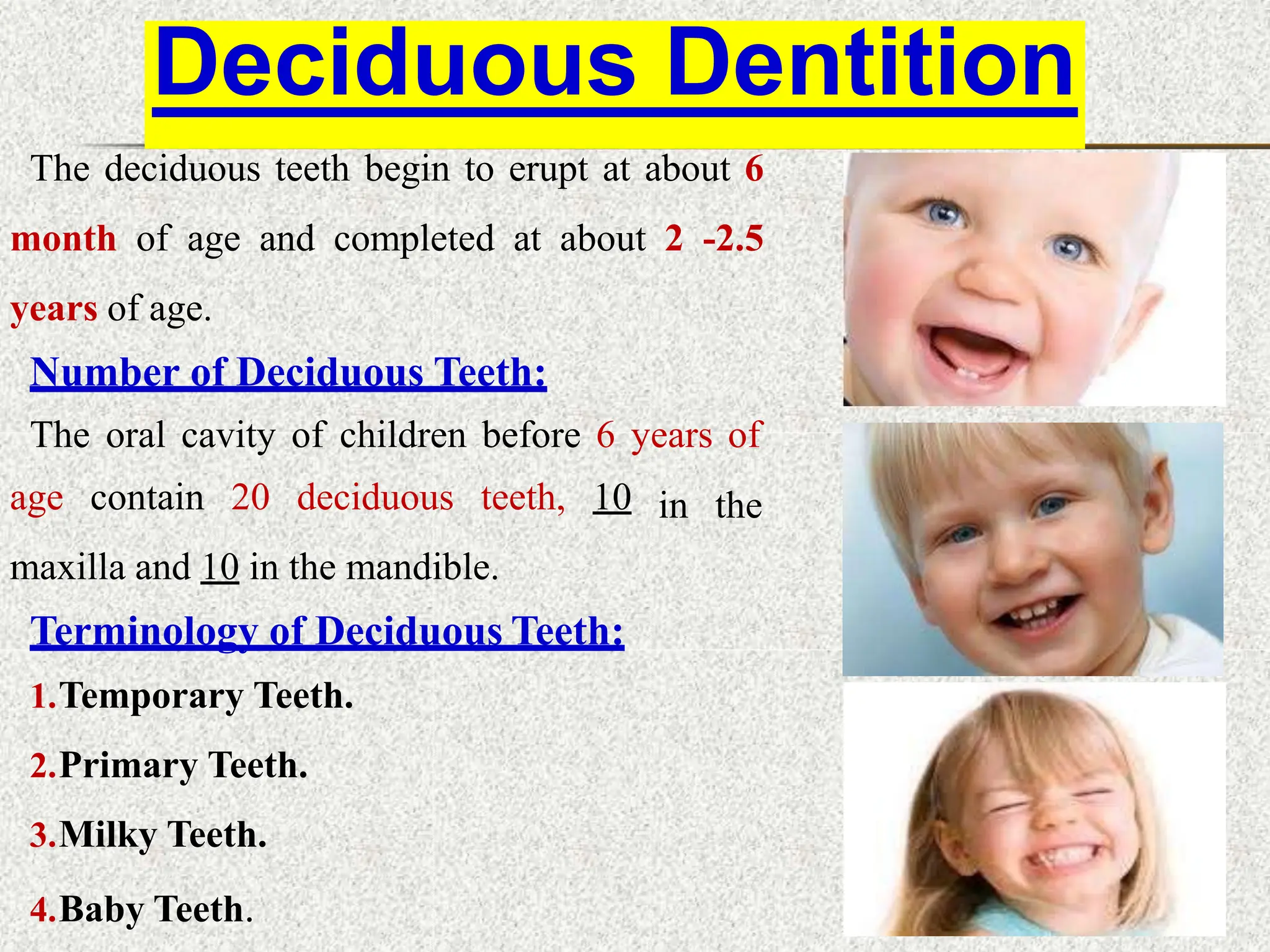 The deciduous teeth begin to erupt at about 6
month of age and completed at about 2 -2.5
years of age.
Number of Deciduous Teeth:
The oral cavity of children before 6 years of
in the
age contain 20 deciduous teeth, 10
maxilla and 10 in the mandible.
Terminology of Deciduous Teeth:
1.Temporary Teeth.
2.Primary Teeth.
3.Milky Teeth.
4.Baby Teeth.
Deciduous Dentition
 