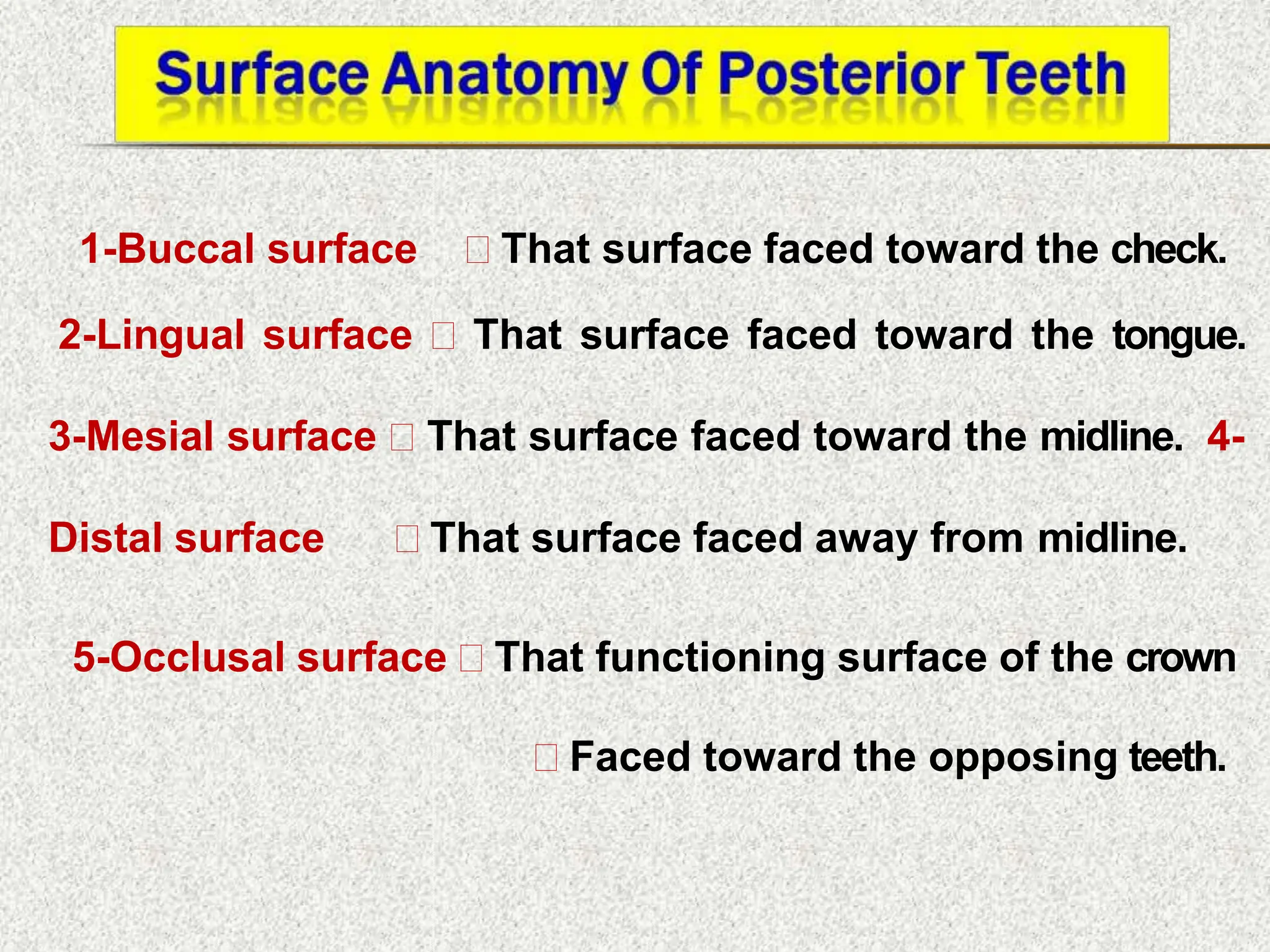 1-Buccal surface  That surface faced toward the check.
2-Lingual surface  That surface faced toward the tongue.
3-Mesial surface  That surface faced toward the midline. 4-
Distal surface  That surface faced away from midline.
5-Occlusal surface  That functioning surface of the crown
 Faced toward the opposing teeth.
 