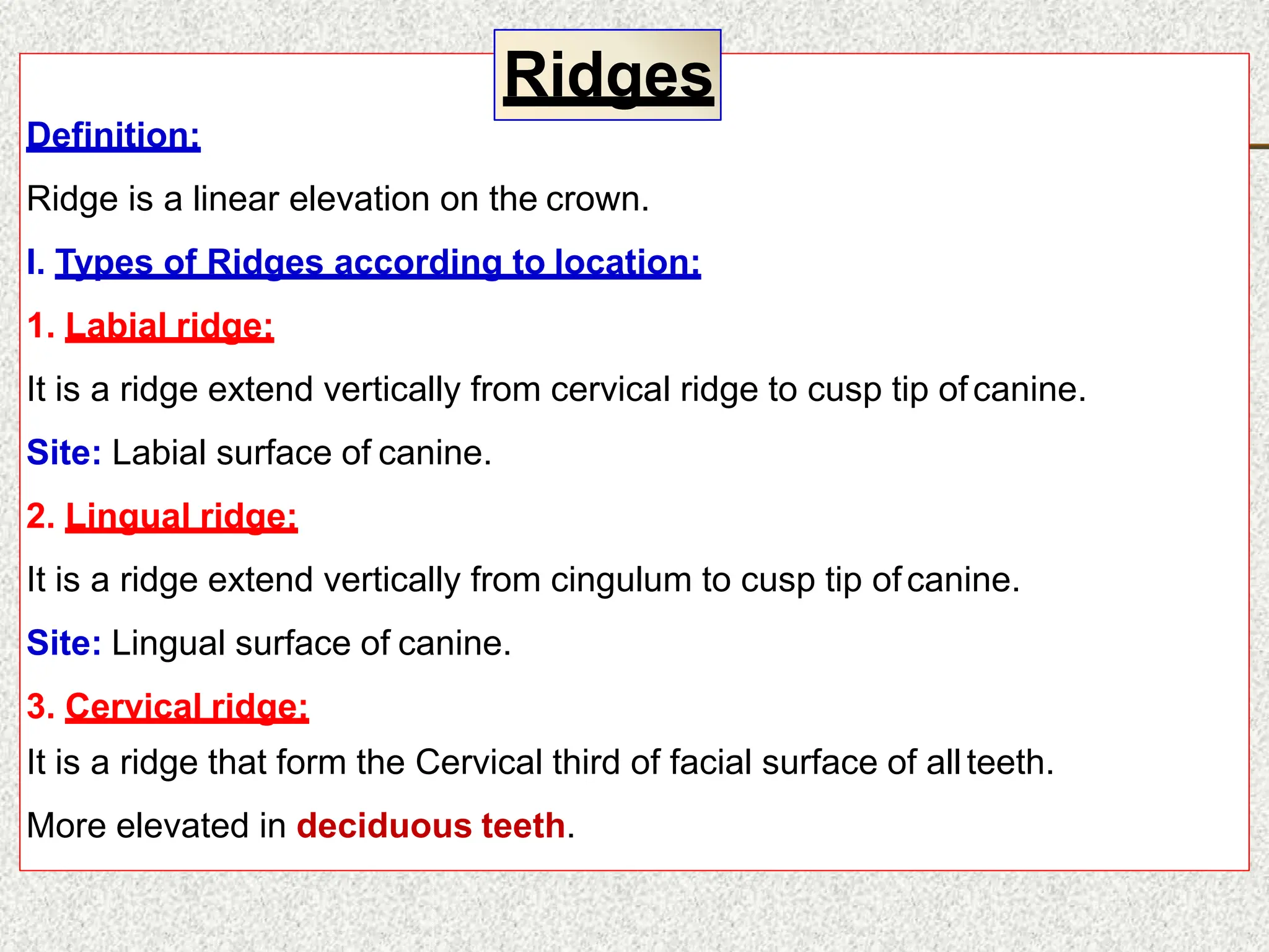 Definition:
Ridge is a linear elevation on the crown.
I. Types of Ridges according to location:
1. Labial ridge:
It is a ridge extend vertically from cervical ridge to cusp tip ofcanine.
Site: Labial surface of canine.
2. Lingual ridge:
It is a ridge extend vertically from cingulum to cusp tip ofcanine.
Site: Lingual surface of canine.
3. Cervical ridge:
It is a ridge that form the Cervical third of facial surface of allteeth.
More elevated in deciduous teeth.
Ridges
 