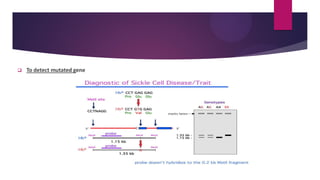 ❑ To detect mutated gene
 