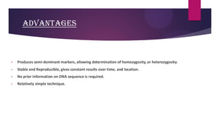 ADVANTAGES
• Produces semi-dominant markers, allowing determination of homozygosity, or heterozygosity.
• Stable and Reproducible, gives constant results over time, and location.
• No prior information on DNA sequence is required.
• Relatively simple technique.
 
