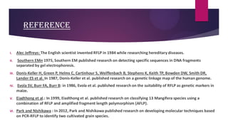REFERENCE
I. Alec Jeffreys: The English scientist invented RFLP in 1984 while researching hereditary diseases.
II. Southern EMn 1975, Southern EM published research on detecting specific sequences in DNA fragments
separated by gel electrophoresis.
III. Donis-Keller H, Green P, Helms C, Cartinhour S, Weiffenbach B, Stephens K, Keith TP, Bowden DW, Smith DR,
Lander ES et al. In 1987, Donis-Keller et al. published research on a genetic linkage map of the human genome.
IV. Evola SV, Burr FA, Burr B: in 1986, Evola et al. published research on the suitability of RFLP as genetic markers in
maize.
V. Eiadthong et al.: In 1999, Eiadthong et al. published research on classifying 13 Mangifera species using a
combination of RFLP and amplified fragment length polymorphism (AFLP).
VI. Park and Nishikawa : In 2012, Park and Nishikawa published research on developing molecular techniques based
on PCR-RFLP to identify two cultivated grain species.
 