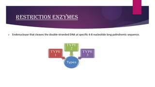 RESTRICTION ENZYMES
➢ Endonuclease that cleaves the double-stranded DNA at specific 4-8 nucleotide long palindromic sequence.
 