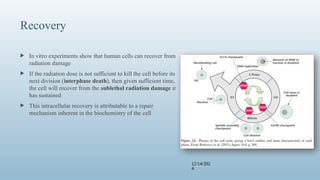 Ppt.pptx fundamentals of radiology ppt.. | PPTX
