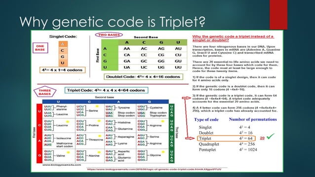ppt. Genetic Code molecular biology.pptx