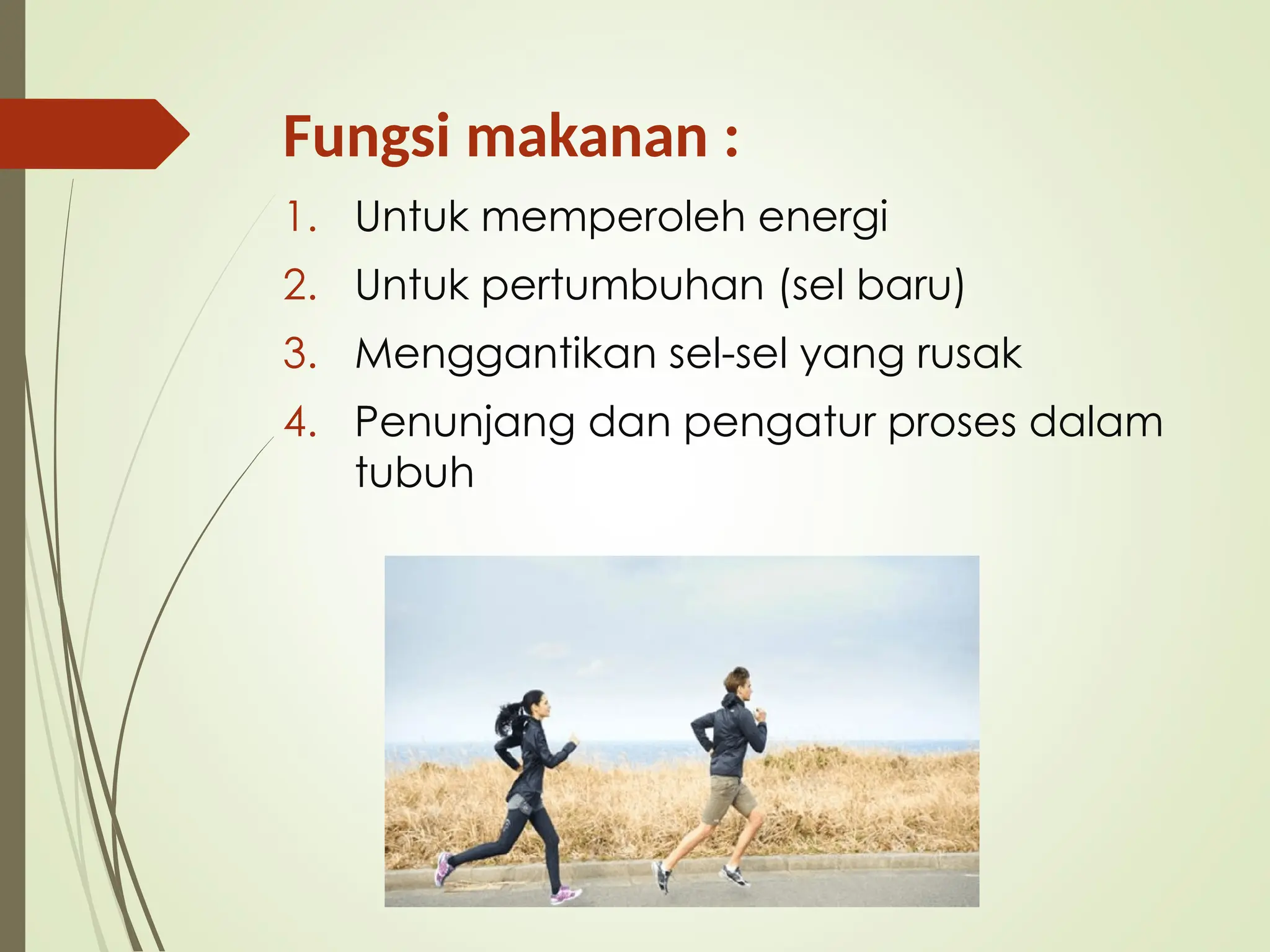Fungsi makanan :
1. Untuk memperoleh energi
2. Untuk pertumbuhan (sel baru)
3. Menggantikan sel-sel yang rusak
4. Penunjang dan pengatur proses dalam
tubuh
 