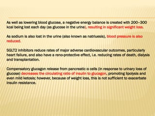 As well as lowering blood glucose, a negative energy balance is created with 200–300
kcal being lost each day (as glucose in the urine), resulting in significant weight loss.
As sodium is also lost in the urine (also known as natriuesis), blood pressure is also
reduced.
SGLT2 inhibitors reduce rates of major adverse cardiovascular outcomes, particularly
heart failure, and also have a reno-protective effect, i.e. reducing rates of death, dialysis
and transplantation.
Compensatory glucagon release from pancreatic α cells (in response to urinary loss of
glucose) decreases the circulating ratio of insulin to glucagon, promoting lipolysis and
even mild ketosis; however, because of weight loss, this is not sufficient to exacerbate
insulin resistance.
 