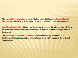 The work of the myocardium is more efficient when it utilizes free fatty acids (and
ketones) for fuel than it is when metabolizing glucose (as it does in heart failure).
Renal benefits of SGLT2 inhibitors are due to constriction of the afferent arteriole (as a
reflex response to increased renal tubular loss of sodium, termed ‘tubuloglomerular
feedback’).
This decreases intraglomerular pressure in a complementary manner to ACE
inhibitors ,which cause relaxation of the efferent arteriole by opposing the action of
angiotensin II.
 
