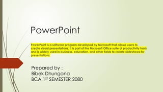 Comprehensive Guide to Microsoft PowerPoint Features and Usage | PPTX