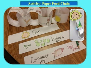 Activity- Paper Food Chain
 