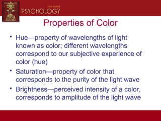Properties of Color
• Hue—property of wavelengths of light
known as color; different wavelengths
correspond to our subjective experience of
color (hue)
• Saturation—property of color that
corresponds to the purity of the light wave
• Brightness—perceived intensity of a color,
corresponds to amplitude of the light wave
 