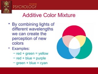 Additive Color Mixture
• By combining lights of
different wavelengths
we can create the
perception of new
colors
• Examples:
– red + green = yellow
– red + blue = purple
– green + blue = cyan
 