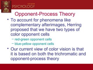 Opponent-Process Theory
• To account for phenomena like
complementary afterimages, Herring
proposed that we have two types of
color opponent cells
– red-green opponent cells
– blue-yellow opponent cells
• Our current view of color vision is that
it is based on both the trichromatic and
opponent-process theory
 