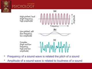 • Frequency of a sound wave is related the pitch of a sound
• Amplitude of a sound wave is related to loudness of a sound
 