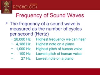 Frequency of Sound Waves
• The frequency of a sound wave is
measured as the number of cycles
per second (Hertz)
– 20,000 Hz Highest frequency we can hear
– 4,186 Hz Highest note on a piano
– 1,000 Hz Highest pitch of human voice
– 100 Hz Lowest pitch of human voice
– 27 Hz Lowest note on a piano
 