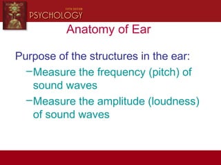 Anatomy of Ear
Purpose of the structures in the ear:
–Measure the frequency (pitch) of
sound waves
–Measure the amplitude (loudness)
of sound waves
 