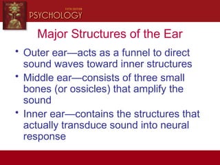 Major Structures of the Ear
• Outer ear—acts as a funnel to direct
sound waves toward inner structures
• Middle ear—consists of three small
bones (or ossicles) that amplify the
sound
• Inner ear—contains the structures that
actually transduce sound into neural
response
 