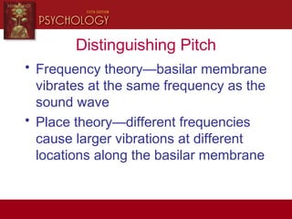 Distinguishing Pitch
• Frequency theory—basilar membrane
vibrates at the same frequency as the
sound wave
• Place theory—different frequencies
cause larger vibrations at different
locations along the basilar membrane
 