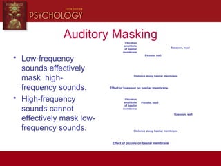 Auditory Masking
• Low-frequency
sounds effectively
mask high-
frequency sounds.
• High-frequency
sounds cannot
effectively mask low-
frequency sounds.
Piccolo, soft
Bassoon, loud
Piccolo, loud
Bassoon, soft
Distance along basilar membrane
Distance along basilar membrane
Effect of bassoon on basilar membrane
Vibration
amplitude
of basilar
membrane
Vibration
amplitude
of basilar
membrane
Effect of piccolo on basilar membrane
Piccolo, soft
Bassoon, loud
Piccolo, loud
Bassoon, soft
Piccolo, loud
Bassoon, soft
Distance along basilar membrane
Distance along basilar membrane
Effect of bassoon on basilar membrane
Vibration
amplitude
of basilar
membrane
Vibration
amplitude
of basilar
membrane
Effect of piccolo on basilar membrane
 