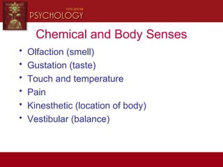 Chemical and Body Senses
• Olfaction (smell)
• Gustation (taste)
• Touch and temperature
• Pain
• Kinesthetic (location of body)
• Vestibular (balance)
 
