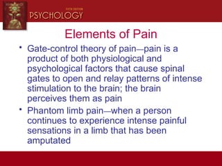 Elements of Pain
• Gate-control theory of pain—pain is a
product of both physiological and
psychological factors that cause spinal
gates to open and relay patterns of intense
stimulation to the brain; the brain
perceives them as pain
• Phantom limb pain—when a person
continues to experience intense painful
sensations in a limb that has been
amputated
 
