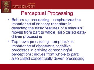 Perceptual Processing
• Bottom-up processing—emphasizes the
importance of sensory receptors in
detecting the basic features of a stimulus;
moves from part to whole; also called data-
driven processing
• Top-down processing—emphasizes
importance of observer’s cognitive
processes in arriving at meaningful
perceptions; moves from whole to part;
also called conceptually driven processing
 
