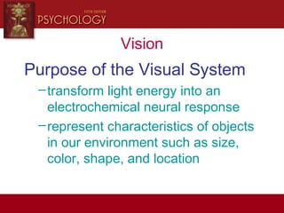 Vision
Purpose of the Visual System
–transform light energy into an
electrochemical neural response
–represent characteristics of objects
in our environment such as size,
color, shape, and location
 