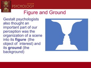 Figure and Ground
Gestalt psychologists
also thought an
important part of our
perception was the
organization of a scene
into its figure (the
object of interest) and
its ground (the
background)
 