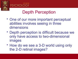 Depth Perception
• One of our more important perceptual
abilities involves seeing in three
dimensions
• Depth perception is difficult because we
only have access to two-dimensional
images
• How do we see a 3-D world using only
the 2-D retinal images?
 